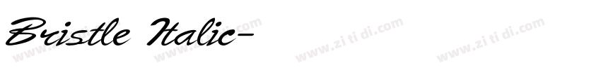 Bristle Italic字体转换 Bristle Italic字体转换